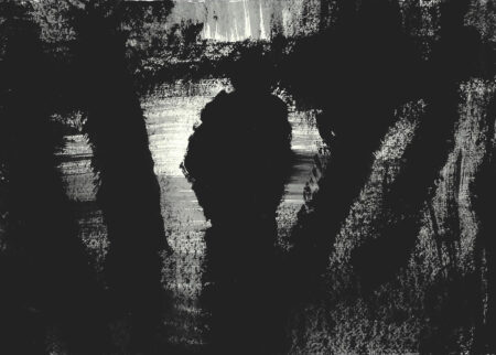 The Wanderer # 14, 2018