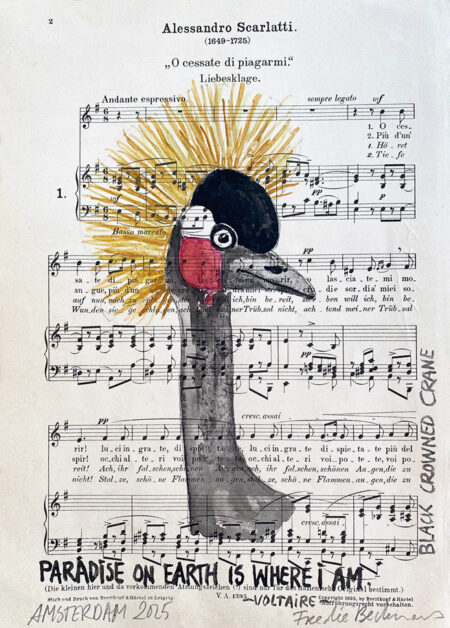 Paradise on earth is where I am, 2025