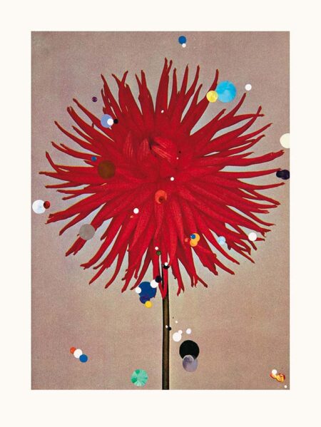 Only blue talk and love (Dahlia)