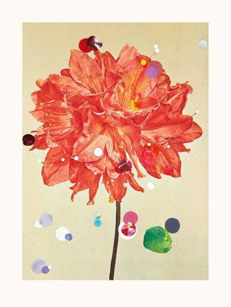 While chasing the clouds away (Azalea)